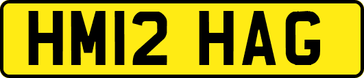 HM12HAG
