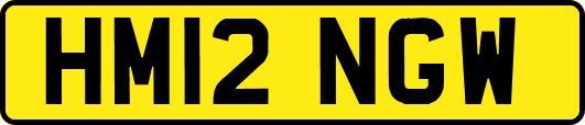 HM12NGW