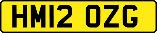 HM12OZG
