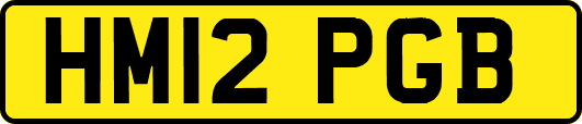 HM12PGB