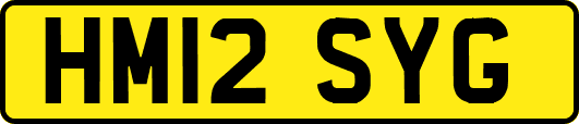 HM12SYG