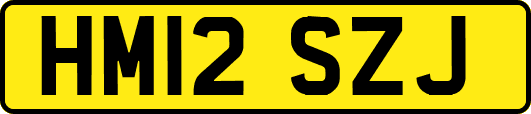 HM12SZJ