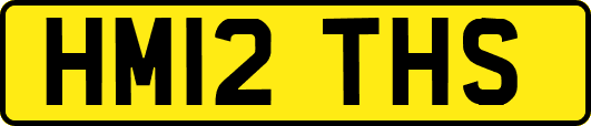 HM12THS