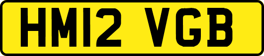 HM12VGB