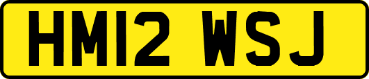 HM12WSJ