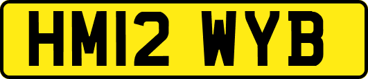 HM12WYB