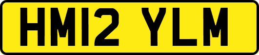 HM12YLM