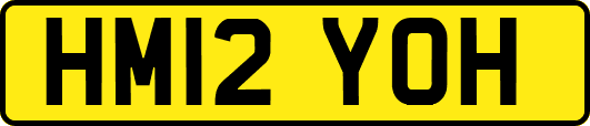 HM12YOH