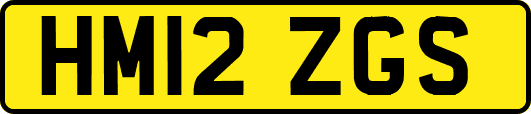 HM12ZGS