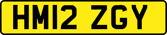 HM12ZGY