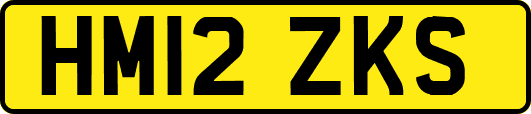 HM12ZKS