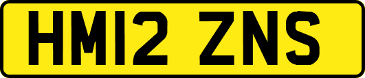 HM12ZNS