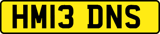 HM13DNS
