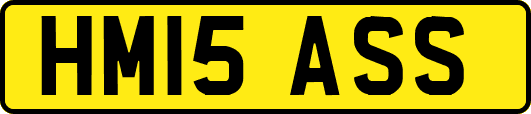 HM15ASS