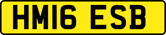 HM16ESB
