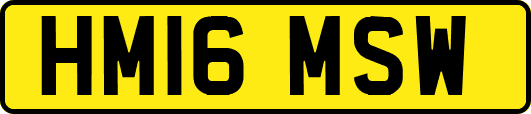 HM16MSW