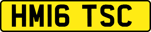 HM16TSC