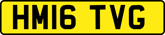 HM16TVG
