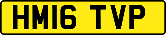 HM16TVP