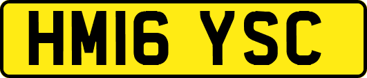 HM16YSC