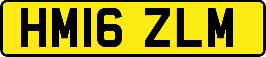 HM16ZLM