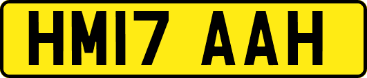 HM17AAH