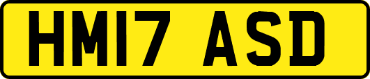 HM17ASD