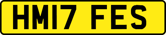 HM17FES