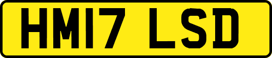HM17LSD
