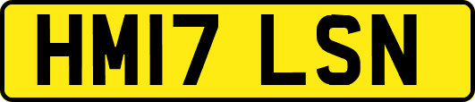 HM17LSN