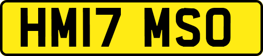 HM17MSO