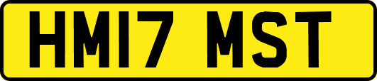 HM17MST