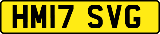 HM17SVG