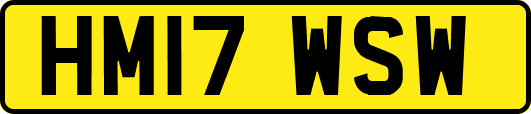 HM17WSW