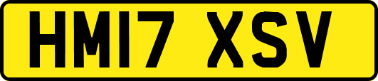 HM17XSV