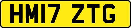 HM17ZTG