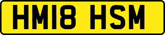 HM18HSM