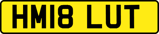 HM18LUT