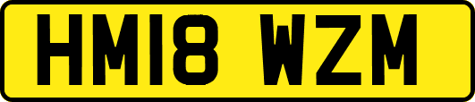 HM18WZM