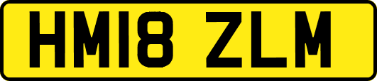 HM18ZLM
