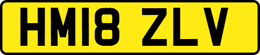 HM18ZLV