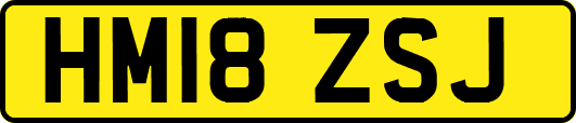 HM18ZSJ