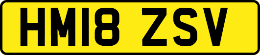 HM18ZSV