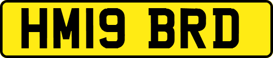 HM19BRD