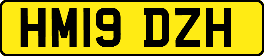 HM19DZH