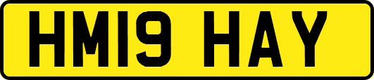 HM19HAY