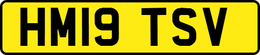 HM19TSV