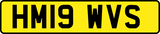 HM19WVS