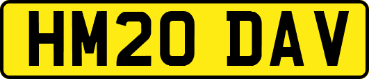 HM20DAV