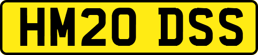 HM20DSS